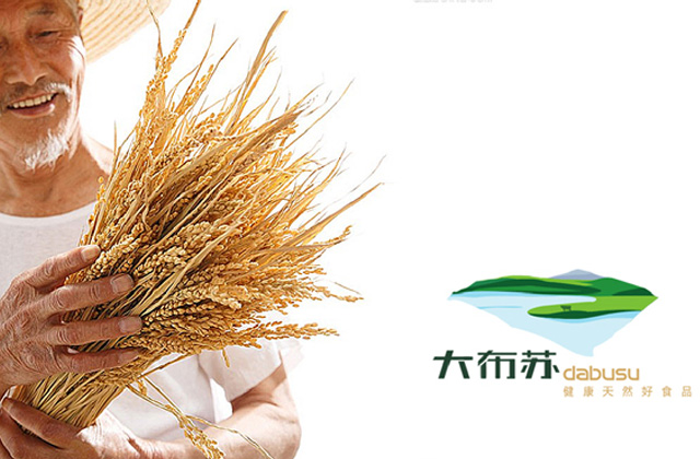 大蘇布 | 標志策劃設計