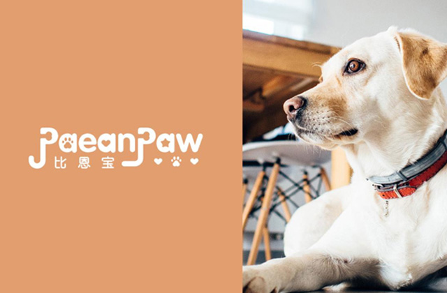比恩寶 | 寵物標志策劃設計