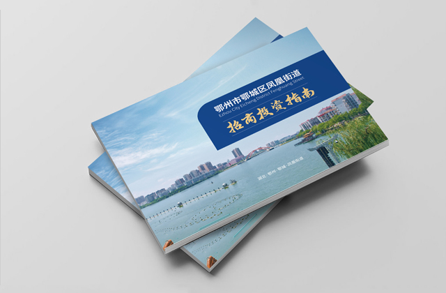 荊州鳳凰招商畫冊 | 政府畫冊策劃設計