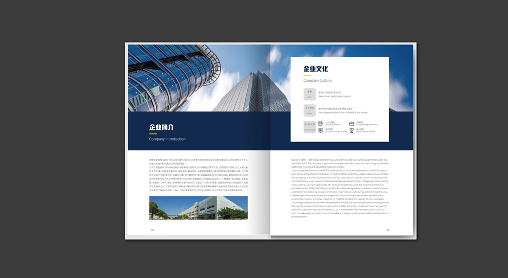 1613793067575593.jpg 案例祥情2.jpg