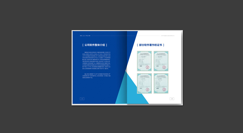 1613795403127300.jpg 案例祥情7.jpg